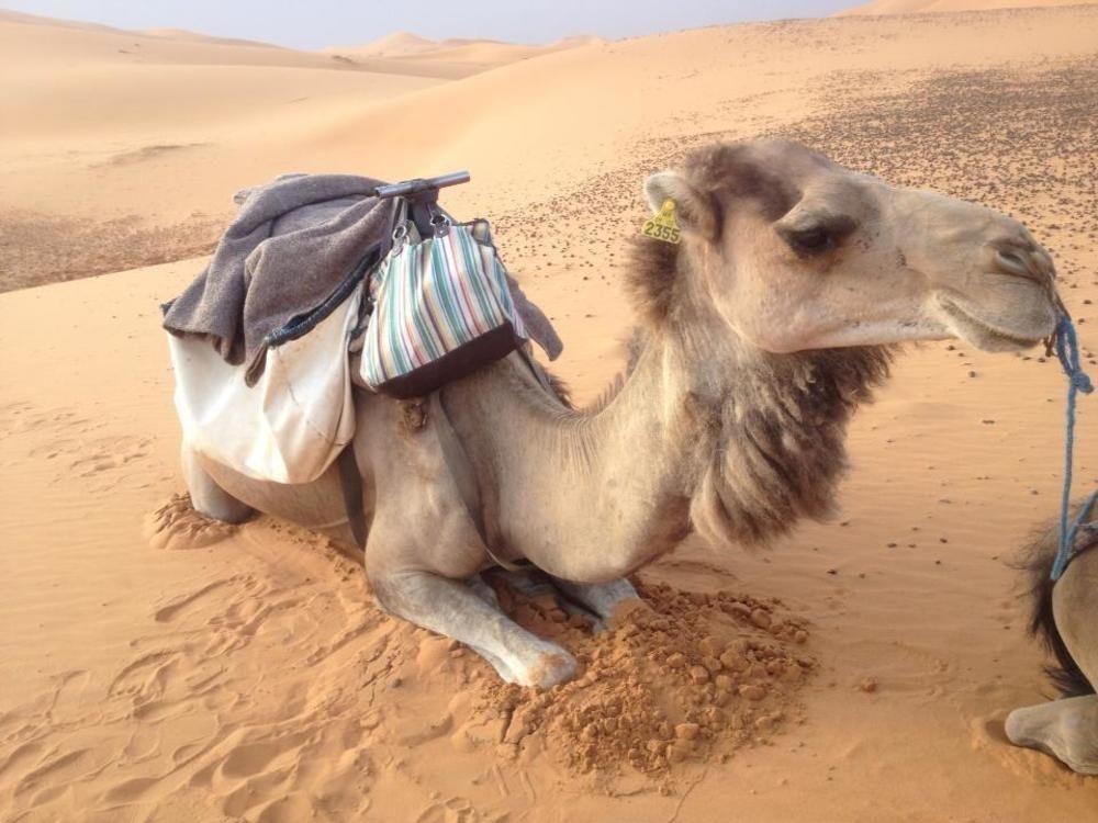 Merzouga Camp And Hostel Exteriér fotografie